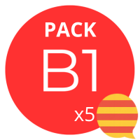 Catalan 5x Lessons Pack B1 (33€/h)